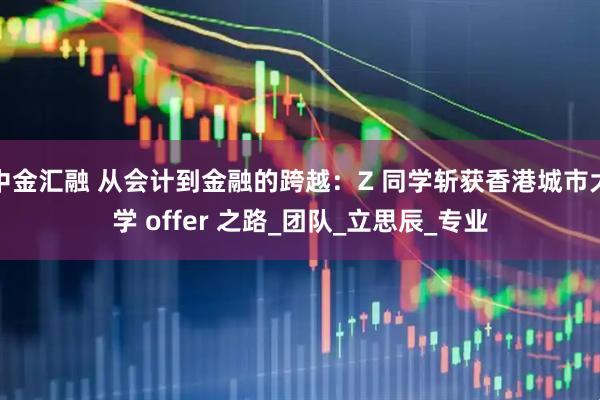 中金汇融 从会计到金融的跨越：Z 同学斩获香港城市大学 offer 之路_团队_立思辰_专业